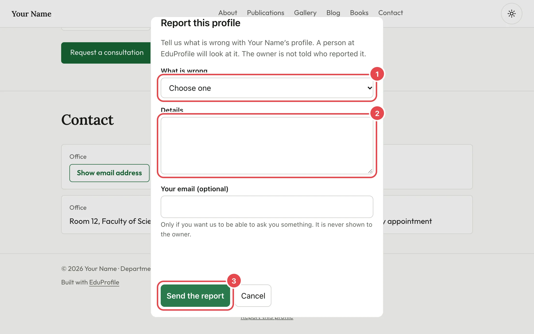 The report form open on a profile page, with the reason, the details box and the send button marked.